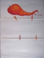 Piment - Pèle-Mèle